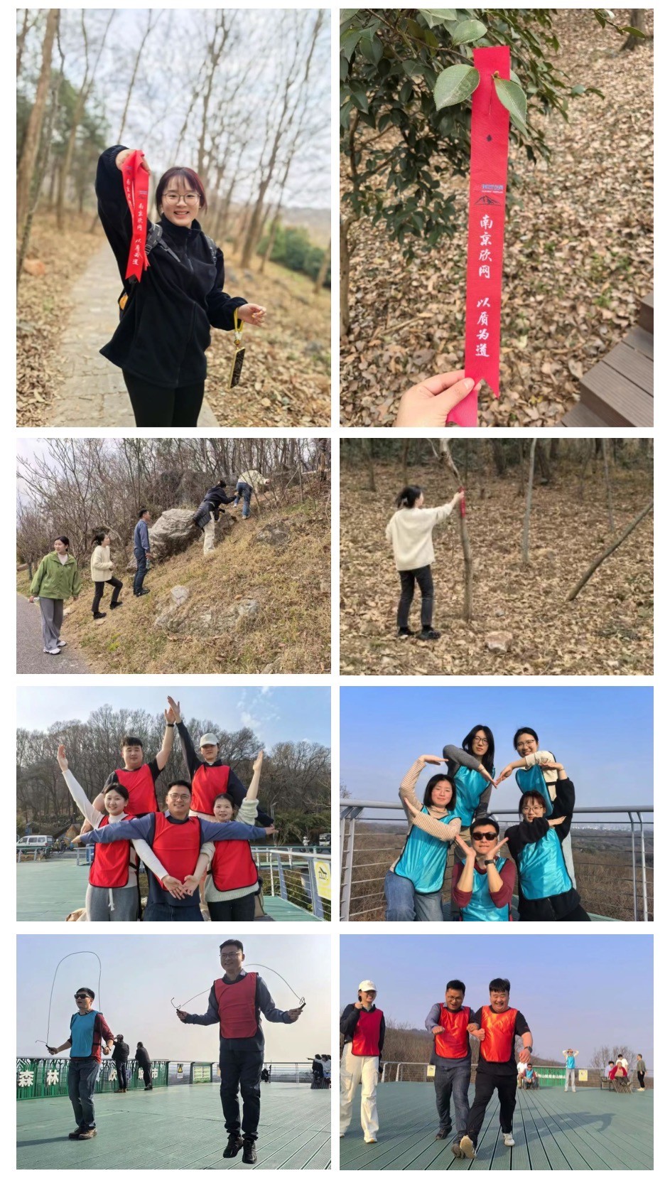 中欧网页版|中欧(中国)欣网|欣网通信