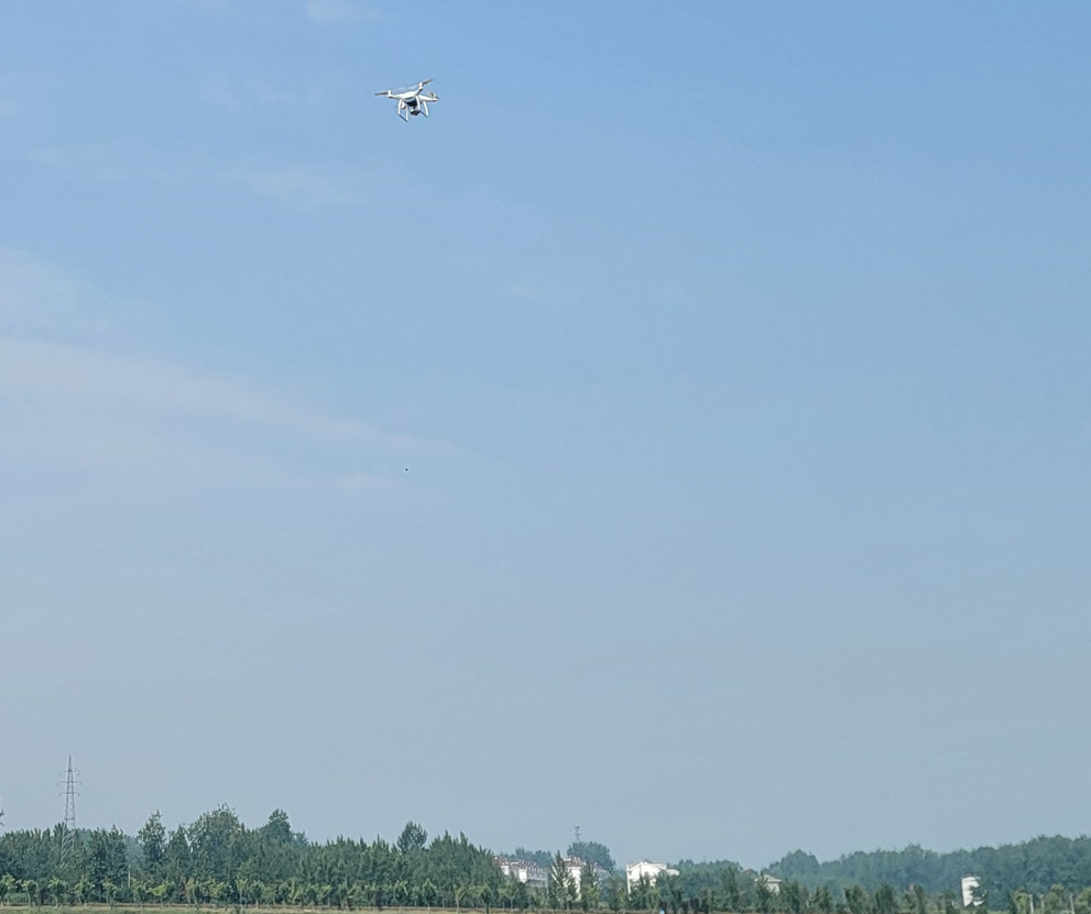 中欧网页版|中欧(中国)欣网|欣网通信